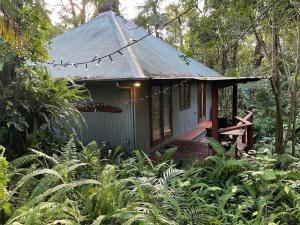 ein kleines Haus mitten im Wald in der Unterkunft Hunchy Hideaway in Montville