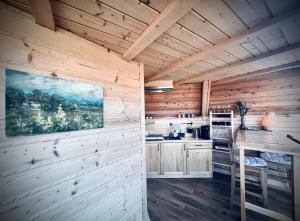 a kitchen with wooden walls and a painting on the wall at Osada Koniaków 4 in Koniaków