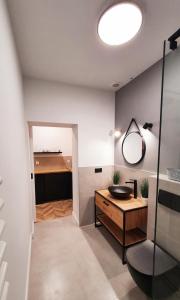 ein Bad mit einem Waschbecken und einem Spiegel in der Unterkunft GRYF Apartamenty Holiday Family in Stettin