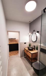 łazienka z umywalką i lustrem w obiekcie GRYF Apartamenty Holiday Family w Szczecinie