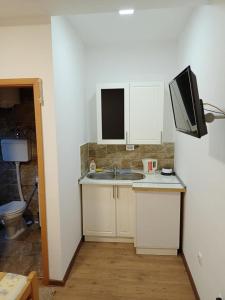 a kitchen with a sink and a tv on a refrigerator at Kapija Dragačeva apartmani in Ovčar Banja