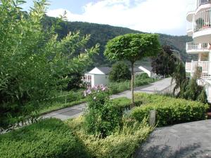 Galeriebild der Unterkunft Ferienwohnung Pusteblume in Cochem