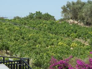 A garden outside Villa in Loutra with Sea View and Pool