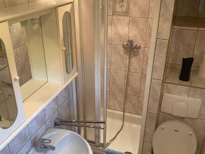 a bathroom with a shower and a toilet and a sink at Peaceful Forest Getaway in Altenfeld +32 photos