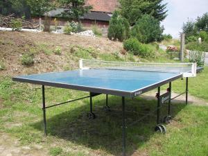 Πινγκ πονγκ στο Wohnung in Lichtenhain beim Böhmischen Park ή εκεί κοντά
