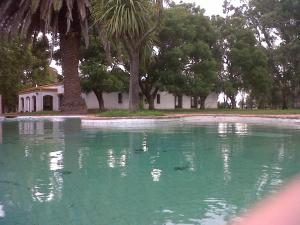 una piscina de agua verde con una casa y árboles en Haras L'Etalon en Pergamino