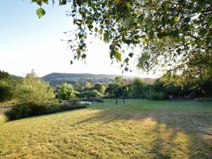 ヴィエルサルムにあるCozy Villa in Vielsalm with Private Gardenの遠くに公園のある芝生畑