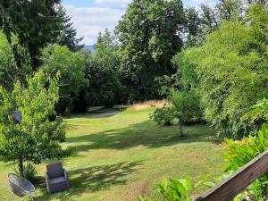 a yard with a chair sitting in the grass at Chalet near forest lakes and hiking trails in Raon-lʼÉtape
