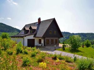 dom na szczycie wzgórza z polem w obiekcie Cottage near Ski area in Stupna Czech Republic w mieście Vidochov