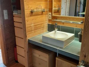 a bathroom with a sink and a mirror at Cottage in Durbuy with Terrace Garden Barbecue in Durbuy
