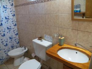uma casa de banho com um lavatório, um WC e um espelho. em Apart HAKUNA em Villa Pehuenia