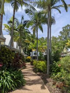 a pathway with palm trees in front of a house at Canopy 5 Chalet in Nelly Bay