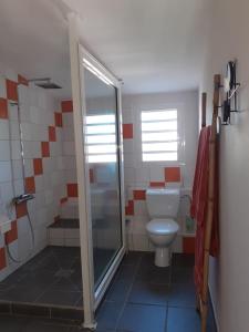 uma casa de banho com um WC e uma cabina de duche em vidro. em Studio le Ti coin Charmant em Saint-Joseph