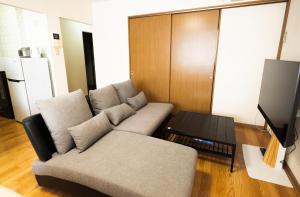a living room with a couch and a tv at STAY IN PASSION in Asahikawa