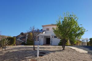 a white house with a tree in front of it at Villa Rosada - luxurious 3-bedroom villa with garden and pool in Cantoria