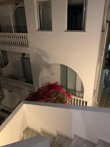 Balkon oz. terasa v nastanitvi Lefkothea Hotel