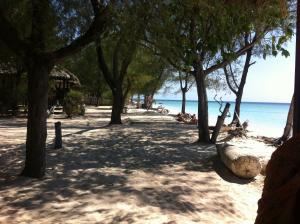 Gallery image of Bluecoral Bungalows in Gili Meno