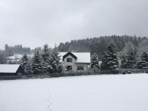 Chalet in Levínská Ole near Giant Mountains v zimě