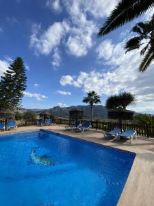 uma piscina azul com cadeiras e palmeiras em LAS PALMERAS em Pizarra