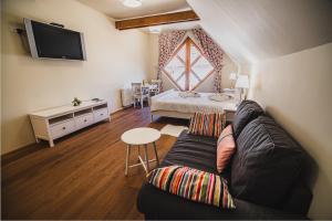 TV a/nebo společenská místnost v ubytování Farm stay Žurej