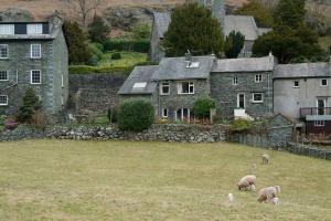 a group of sheep grazing in a field in front of a house at Church Bank in Chapel Stile