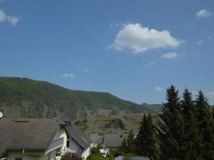 Gallery image of Comfortable flat with view of the Moselle valley and vineyards and garden in Bremm