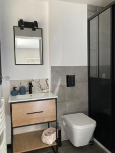 サン・ディエにあるLa Tuilerie Chambres d'Hôtesのバスルーム(トイレ、洗面台、鏡付)