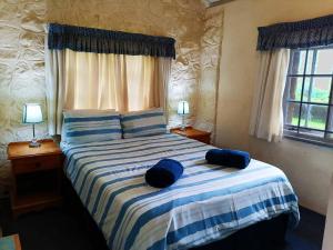 a bedroom with a bed with blue pillows on it at BillsBest Whaleback Cottage in Ramsgate +34 photos