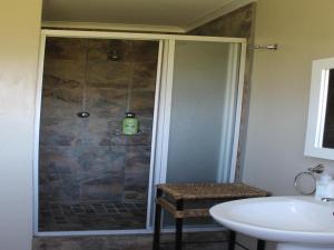 a bathroom with a shower with a toilet and a sink at Cicada Self Catering Cottage in Underberg
