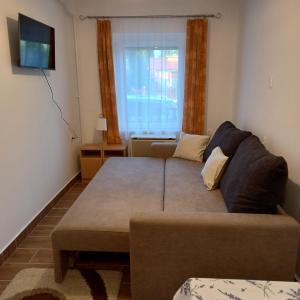 TV a/nebo společenská místnost v ubytování Írisz Apartman