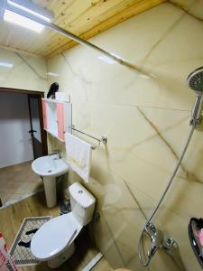 a bathroom with a toilet and a shower at "Mani Guest House" in Gjirokastër
