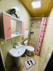 La salle de bains est pourvue d'un lavabo et de toilettes. dans l'établissement "Mani Guest House", à Gjirokastër