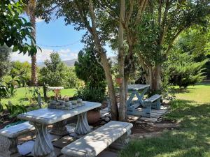 a picnic table and benches under a tree at Karoo Life B&B in Calitzdorp +6 photos