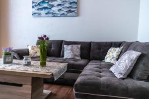 Billede fra billedgalleriet på Minihotel Vitex i Prag + 18 billeder