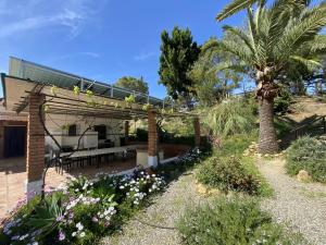 un jardin avec une pergola et un palmier dans l'établissement LAS PALMERAS, à Pizarra
