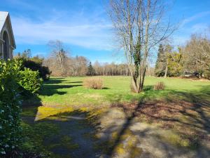 a tree in the middle of a grass field at Gite de la Chapelle - Circuit des 24 heures - ARNAGE - 10 personnes in Les Loges