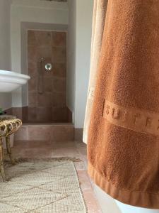 y baño con ducha y cortina de ducha. en Casa Dormiveglia, en Montaldo Bormida