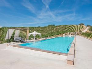 a swimming pool in front of a vineyard at Belvilla by OYO Giglio in Ascoli Piceno