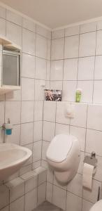 Ένα μπάνιο στο Ferienwohnung Dustin +13 φωτογραφίες