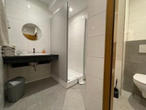 La salle de bains est pourvue d'une douche, d'un lavabo et de toilettes. dans l'établissement Apartment Allersberg, à Allersberg