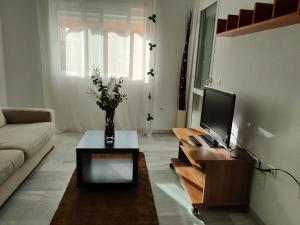 salon z kanapą i stołem z telewizorem w obiekcie Apartamento Málaga Centro w Maladze