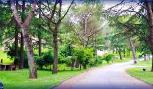 Zahrada ubytování Toscana Wellness Resort