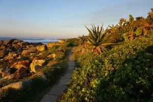 a path on the side of a rocky beach at BillsBest Whaleback Cottage in Ramsgate