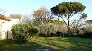 einen grünen Garten mit Bäumen und einem Haus in der Unterkunft Au bras d'argent Léa et Vincent in Auros