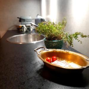 a sink and a bowl with a plant on a counter at Tartaczna - U Królika in Gdańsk