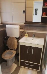 ein Badezimmer mit einem WC, einem Waschbecken und einem Spiegel in der Unterkunft Apartman Park in Subotica