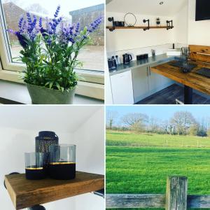 a collage of photos with a kitchen and a window at The Old Milking Parlour in Longton