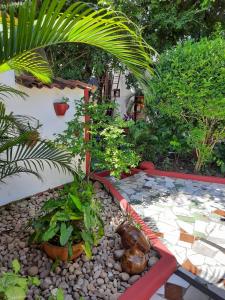 HI Hostel Chapada外面的花园