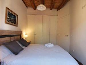 een slaapkamer met een groot wit bed in een kamer bij Maravilloso apartamento en el casco antiguo in Besalú