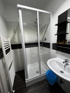 a bathroom with a shower and a sink at Villa Tergeste in Trieste